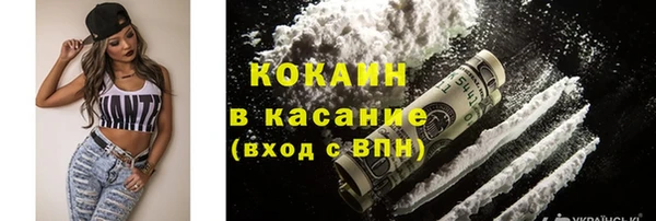 дмт Алексин
