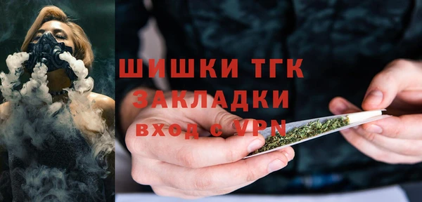 шишки Алзамай