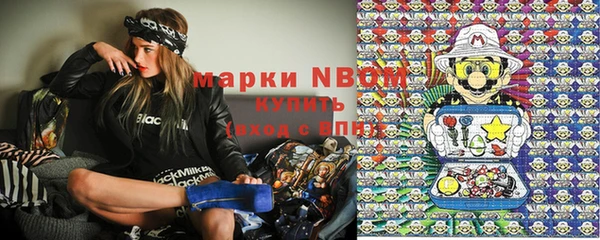 гашик Алексеевка