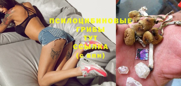 гашик Алексеевка
