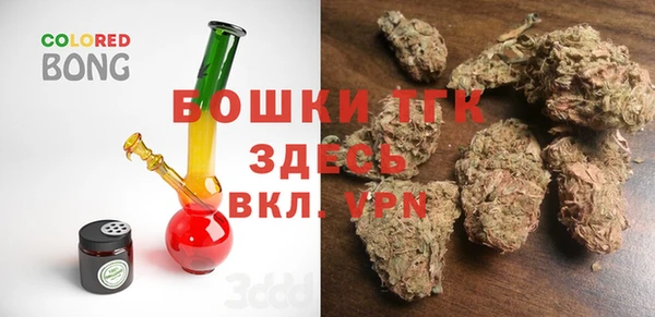 дмт Алексин