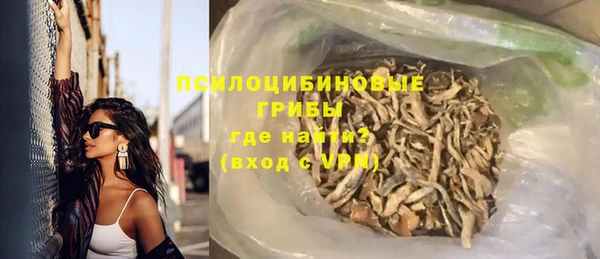 шишки Алзамай