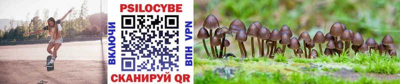 Псилоцибиновые грибы Cubensis  Богородск 